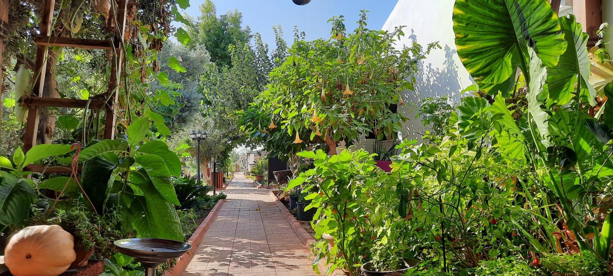 Osman Aga Culture House Apartment Famagusta  Luaran gambar
